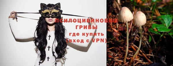 каннабис Алексеевка