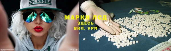 стаф Алзамай