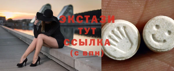 стаф Алзамай