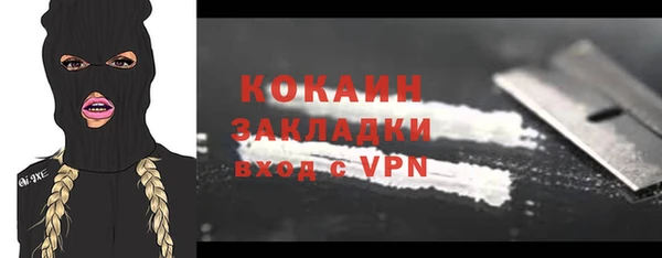 стаф Алзамай