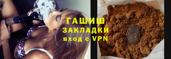 стаф Алзамай