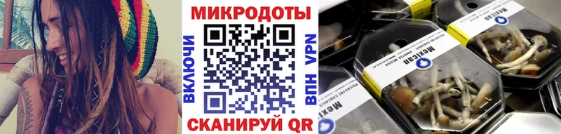 магазин  наркотиков  Буй  Галлюциногенные грибы ЛСД 