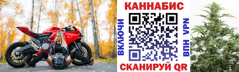 Конопля марихуана Буй